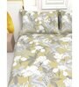 Floral 210 TC Microfiber 1 Bedsheet,  2 Pillow Covers Cider Queen Collection