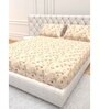 Floral 210 TC Microfiber 1 Bedsheet,  2 Pillow Covers Cider Queen Collection