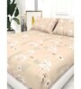Floral 210 TC Microfiber 1 Bedsheet,  2 Pillow Covers Cider Queen Collection