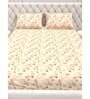 Floral 210 TC Microfiber 1 Bedsheet,  2 Pillow Covers Cider Queen Collection