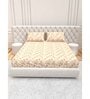 Floral 210 TC Microfiber 1 Bedsheet,  2 Pillow Covers Cider Queen Collection