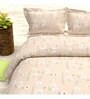 Floral 210 TC Microfiber 1 Bedsheet,  2 Pillow Covers Cider Queen Collection
