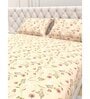 Floral 210 TC Microfiber 1 Bedsheet,  2 Pillow Covers Cider Queen Collection