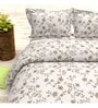 Floral 210 TC Microfiber 1 Bedsheet,  2 Pillow Covers Cider Queen Collection
