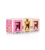 Multicolour Wax (Set of 3) Scented
Candles