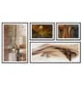 Cadence studios Multicolour MDF Framed Art Print Set of 4
