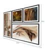 Cadence studios Multicolour MDF Framed Art Print Set of 4
