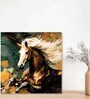 Horse Canvas Pine Wood 24x24 Art Print