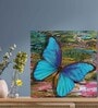 Blue Butterfly Canvas Pine Wood 24x24 Art Print