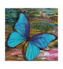 Blue Butterfly Canvas Pine Wood 24x24 Art Print