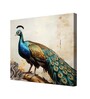 Peacock Canvas Pine Wood 24x24 Art Print