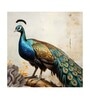Peacock Canvas Pine Wood 24x24 Art Print