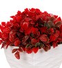 Multicolour Plastic & Polyester Artificial Plant With Pot