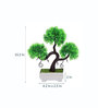 Green Small Thin & Pointy Leaves Plastic Artificial S Shaped Bonsai Tree with Pot