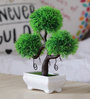 Green Small Thin & Pointy Leaves Plastic Artificial S Shaped Bonsai Tree with Pot