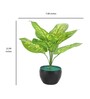 Multicolour Polyester and Plastic Artificial Plants