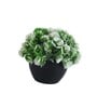 Multicolour Polyester and Plastic Artificial Plants