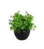 Multicolour Polyester and Plastic Artificial Plants
