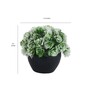 Multicolour Polyester and Plastic Artificial Plants