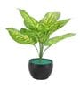 Multicolour Polyester and Plastic Artificial Plants