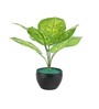 Multicolour Polyester and Plastic Artificial Plants