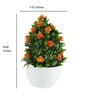 Multicolour Polyester and Plastic Artificial Plants