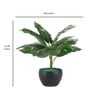 Multicolour Polyester and Plastic Artificial Plants