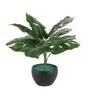 Multicolour Polyester and Plastic Artificial Plants