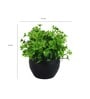 Multicolour Polyester and Plastic Artificial Plants