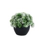 Multicolour Polyester and Plastic Artificial Plants