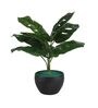 Multicolour Polyester and Plastic Artificial Plants