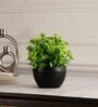 Multicolour Polyester and Plastic Artificial Plants
