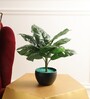 Multicolour Polyester and Plastic Artificial Plants