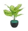 Multicolour Polyester and Plastic Artificial Plants