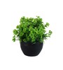 Multicolour Polyester and Plastic Artificial Plants