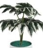 Multicolour Polyester and Plastic Artificial Plants