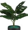 Multicolour Polyester and Plastic Artificial Plants