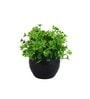 Multicolour Polyester and Plastic Artificial Plants