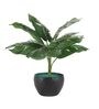 Multicolour Polyester and Plastic Artificial Plants