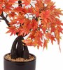 Multicolour Polyester Artificial Bonsai Plant With Black Ceramic Pot