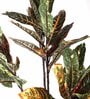 Multicolour Polyester Artificial Croton Plant Without Pot