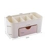 Multicolour Polypropylene Multipurpose Storage Organiser