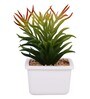 Polyurethane Janet Multicolour Succculent In Ceramic Pot Artificial Plant