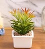Polyurethane Janet Multicolour Succculent In Ceramic Pot Artificial Plant