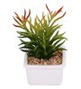 Polyurethane Janet Multicolour Succculent In Ceramic Pot Artificial Plant