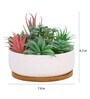 Polyurethane Lauren Multicolour Succculent In Ceramic Pot Artificial Plant