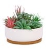 Polyurethane Lauren Multicolour Succculent In Ceramic Pot Artificial Plant