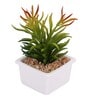Polyurethane Janet Multicolour Succculent In Ceramic Pot Artificial Plant