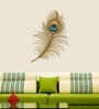 Multicolour Pvc Vinyl Peacock Feather Wall Sticker