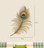 Multicolour Pvc Vinyl Peacock Feather Wall Sticker